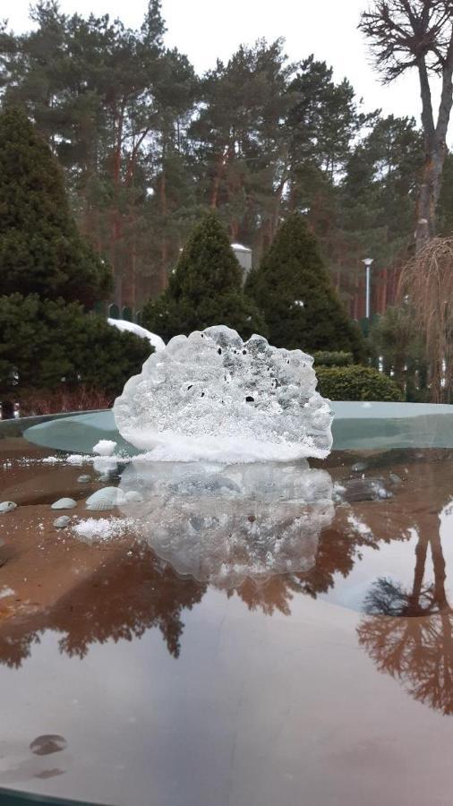 Kranto Vila Palanga Exteriér fotografie