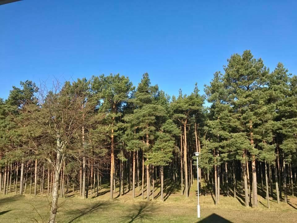 Kranto Vila Palanga Exteriér fotografie
